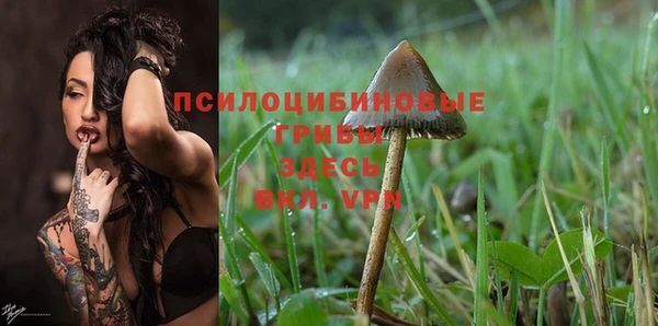 ешки Балабаново