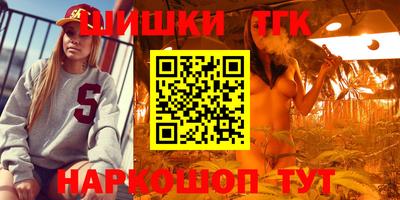 гашик Аргун
