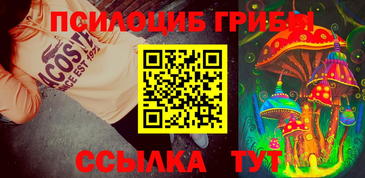 Галлюциногенные грибы прущие грибы  Вход с VPN  Верхний Уфалей 